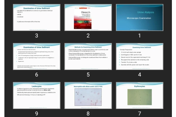 پاورپوینت Urine Alalysis Microscopic
