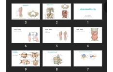 پاورپوینت Abdominal Cavity
