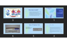 پاورپوینت Home Pregnancy Kit