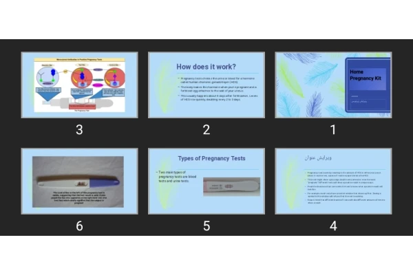 پاورپوینت Home Pregnancy Kit