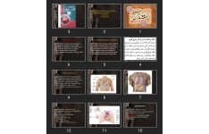 پاورپوینت Anatomy and Physiology of the Cardiovascular System