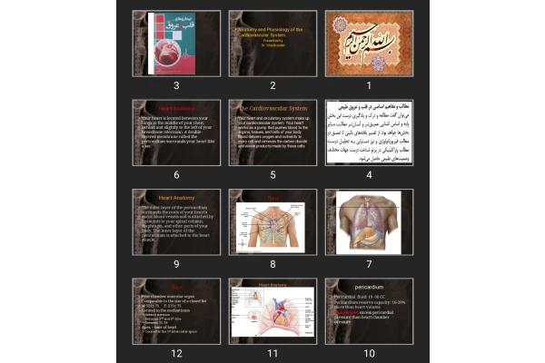 پاورپوینت Anatomy and Physiology of the Cardiovascular System