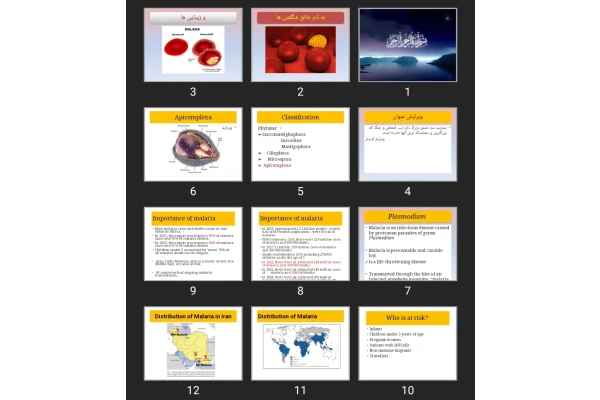 پاورپوینت مالاریا