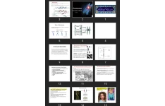 پاورپوینت Chromosomal abnormalities