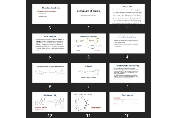 پاورپوینت Mechanisms of Toxicity