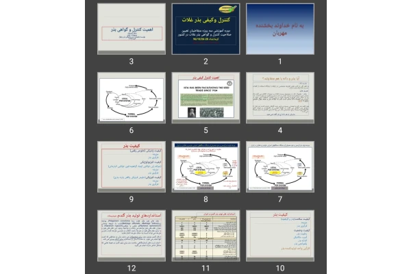 پاورپوینت اهمیت و کنترل کیفی بذر