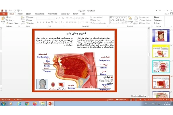 پاورپوینت فصل سیزدهم علوم تجربی هفتم سفر غذا