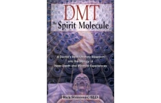 DMT: The Spirit Molecule: A Doctors Revolutionary Research into the Biology of Near-Death and Mystical Experiences-کتاب انگلیسی