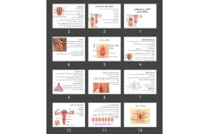 پاورپوینت آناتومی و فیزیولوژی دستگاه تناسلی