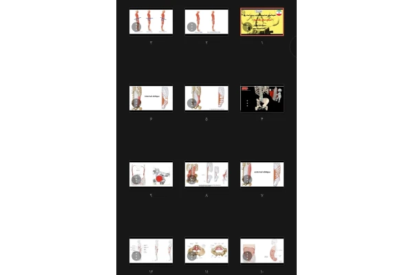 جزوه تمرینات (شکم و پهلو) مرکزی بدن