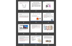 پاورپوینت Visual Perception