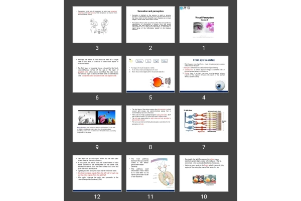 پاورپوینت Visual Perception