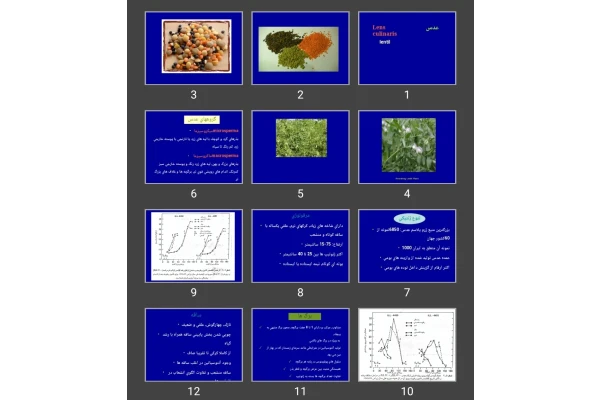 پاورپوینت عدس