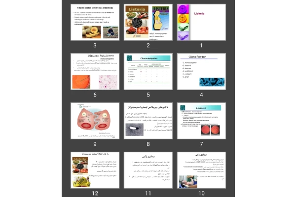 پاورپوینت Listeria