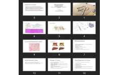 پاورپوینت Cirrhosis and Its Complications
