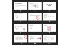 پاورپوینت Small and Large Intestines