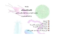 باکتری شناسی