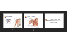 پاورپوینت Axilla (arm Pit)-part 2