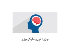 جزوه طلایی نوروسایکولوژی (فیزیولوژیک)