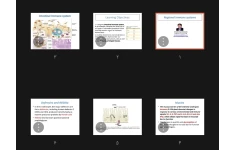 جزوه regional immune system