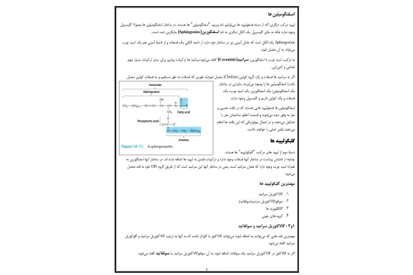 جزوه ساختار و چگونگی ساخت لیپیدها در بدن و نقش بیولوژیکی آنها
