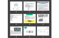 پاورپوینت Morphology of Bacteria