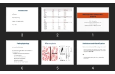 پاورپوینت آنمی ماکروسیتیک Macrocytosis / Macrocytic Anemia