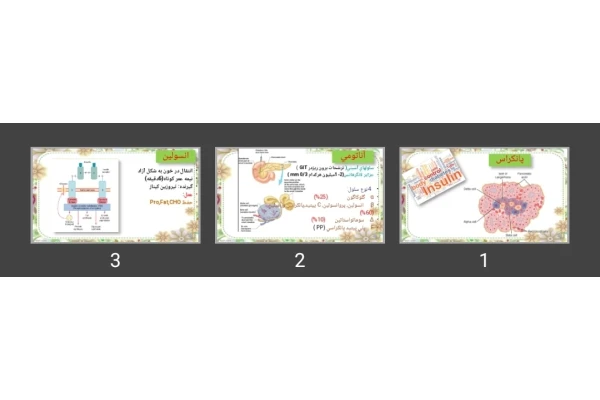 پاورپوینت پانكراس