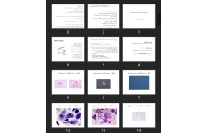 پاورپوینت Cutaneous Leishmania