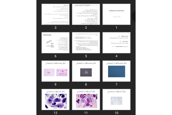 پاورپوینت Cutaneous Leishmania