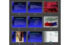 پاورپوینت HEMODINAMIC DISORDERSTHROMBOSIS AND SHOCK