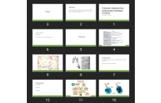 پاورپوینت Chronic obstructive pulmonary disease (COPD)