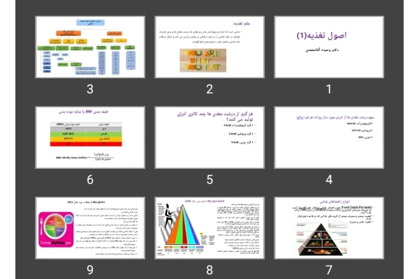 پاورپوینت اصول تغذیه ۱