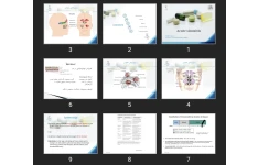 پاورپوینت Acute sinusitis