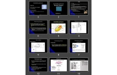 پاورپوینت Bordetella