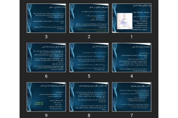 پاورپوینت پایه ژنتیکی صفات انسانی