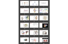 پاورپوینت upper limb main joints mri