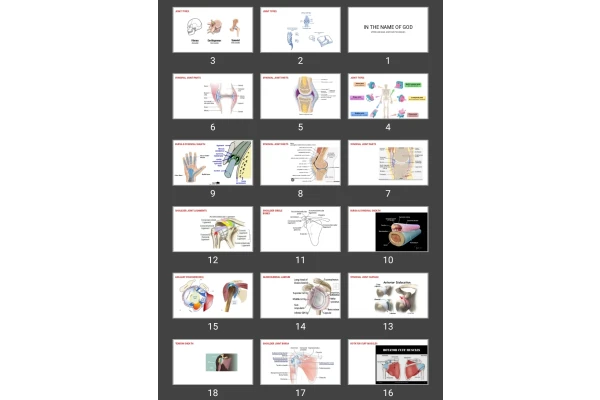 پاورپوینت upper limb main joints mri