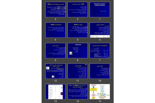 پاورپوینت Monoamine Oxidase Inhibitors (MAOIs)