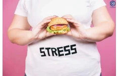 پاورپوینت با موضوع ارتباط بین استرس و اضطراب با میزان اشتها و غذا خوردن