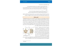 جزوه دردهای کمر و گردن