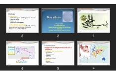 پاورپوینت brucellosis