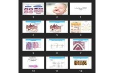 پاورپوینت ۲ HISTOLOGY OF DENTAL