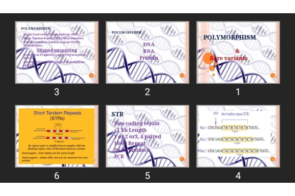 پاورپوینت POLYMORPHISM