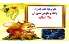 علوم پایه هفتم فصل 11 یاخته و سازمان بندی آن 28   اسلاید
