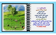 نمونه سوالات عربی  دهم انسانی شهرستان کنارک بدون نیاز به تایپ مجدد 17 سوال سال 1402