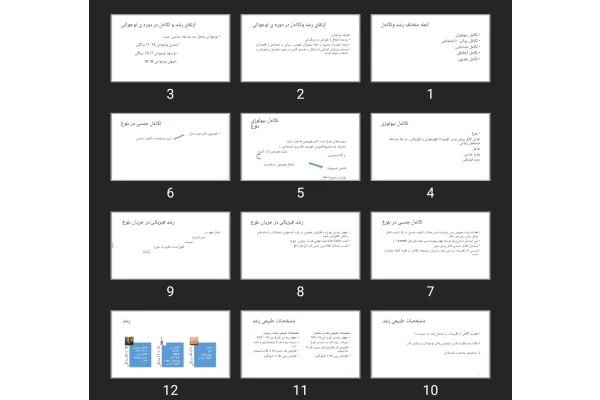 پاورپوینت ابعاد مختلف رشد و تکامل نوجوان