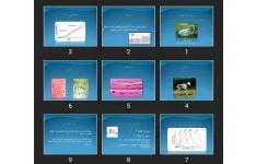 پاورپوینت رشد جبرانی در گوسفند