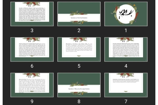 پاورپوینت Secretions of the Small Intestine