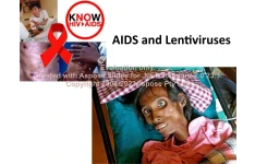 پاورپوینت AIDS and Lentiviruses      تعداد اسلاید : 159      نسخه کامل✅